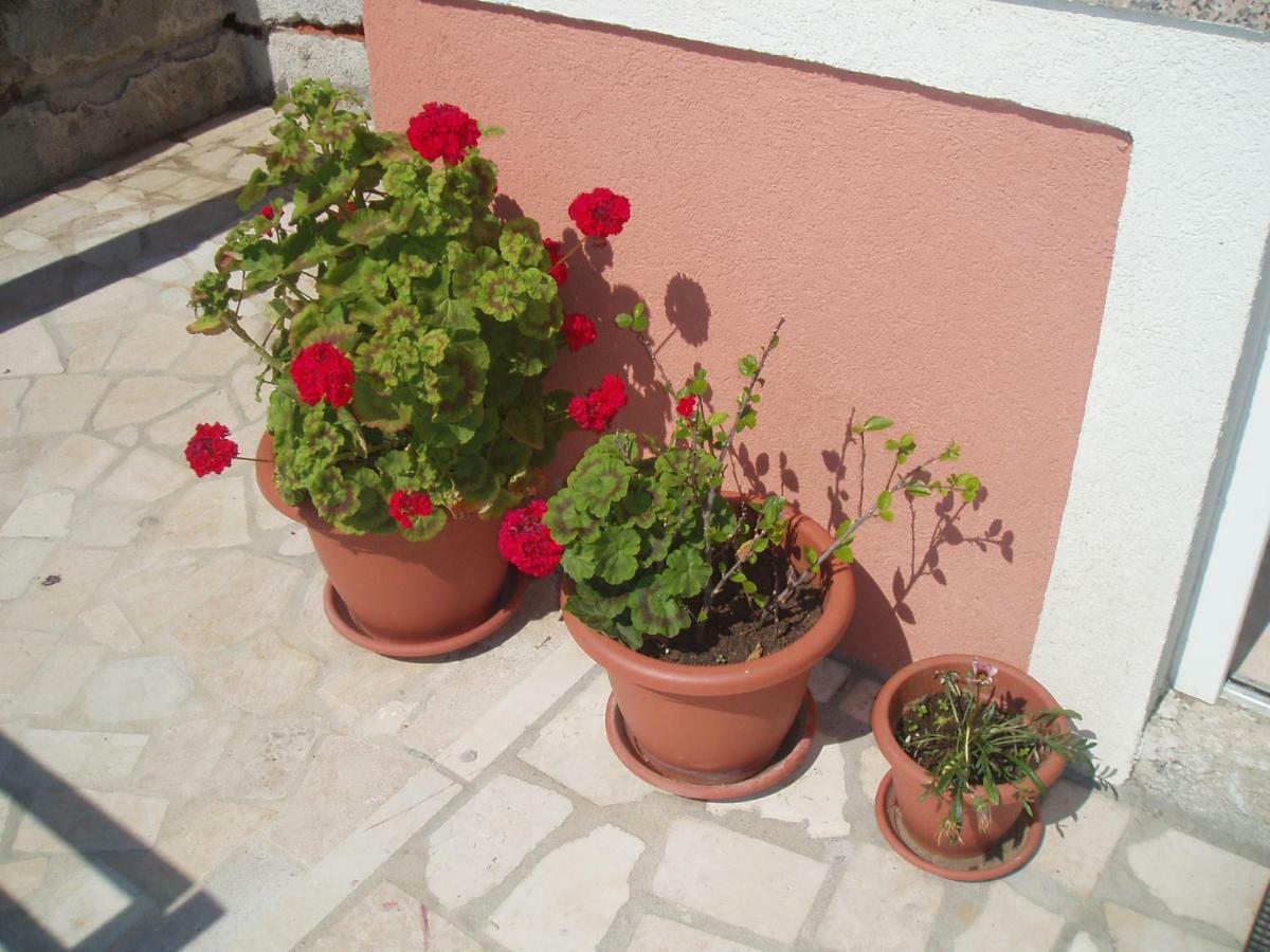 Apartments & Room Madi Senj  Exterior foto